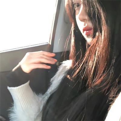 蒂科与鲨鱼