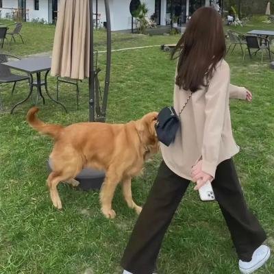 戴维斯夫人